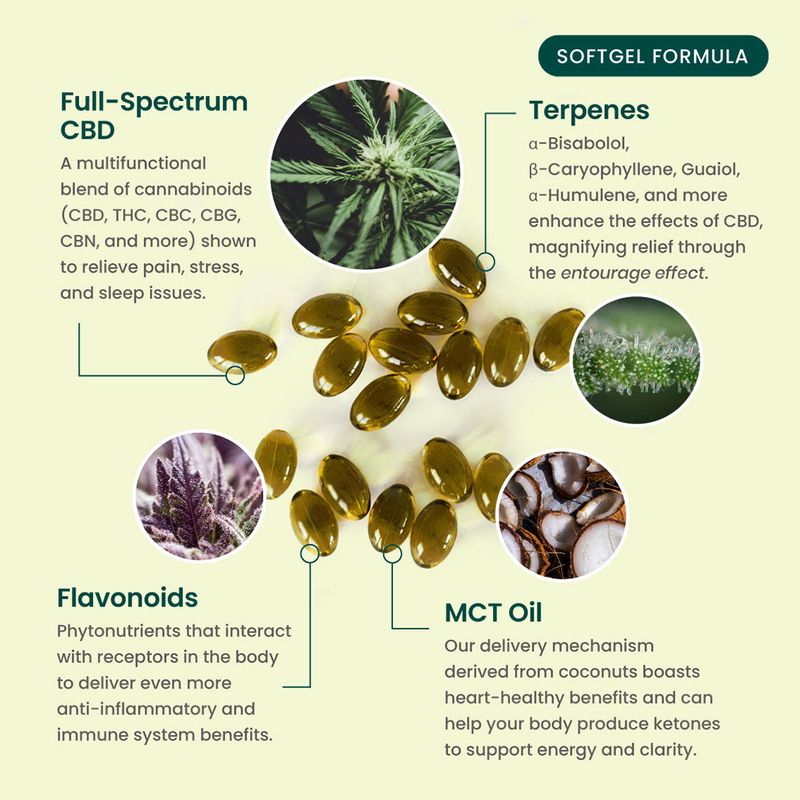 Full Spectrum 30mg CBD Soft Gels