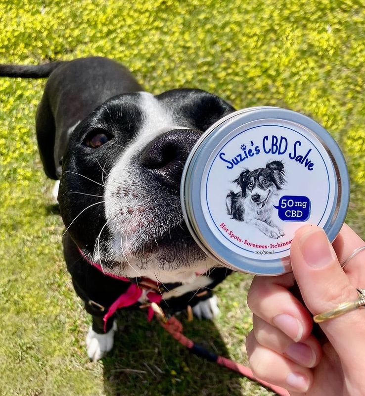 Suzie's CBD Pet Salve
