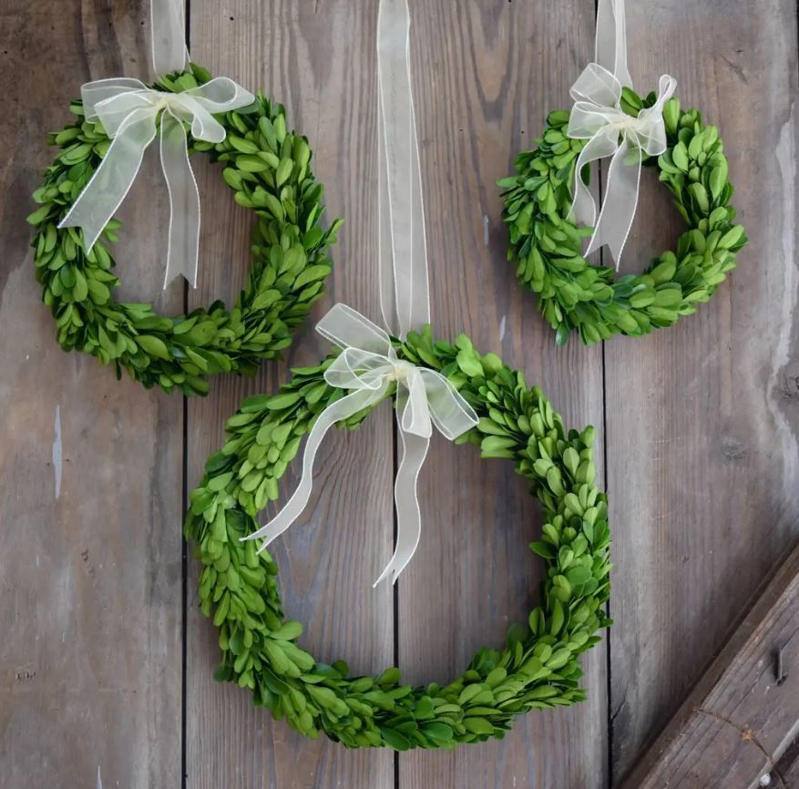 10&quot; Preserved Boxwood Wreath - Round with Ribbon