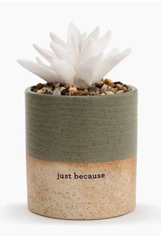Succulent Oil Diffuser - Just Because (Oil Included)