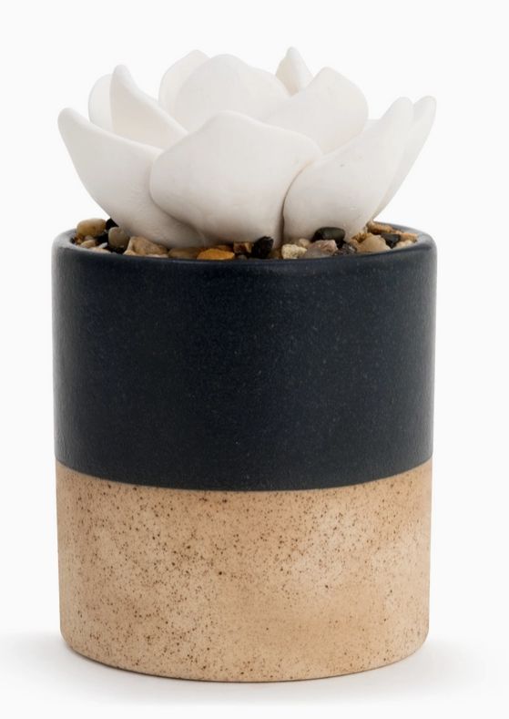 Succulent Oil Diffuser - Navy (Oil Included)