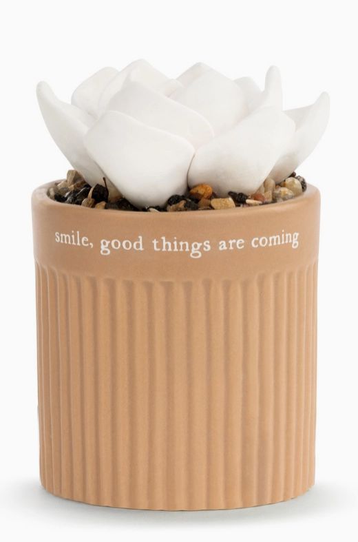 Succulent Oil Diffuser - Smile (Oil Included)