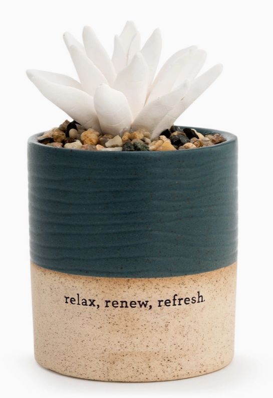 Succulent Oil Diffuser - Relax (Oil Included)