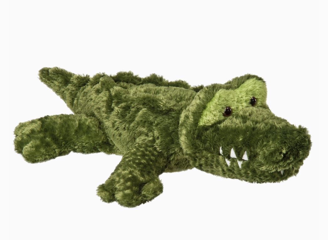 Flip Flop Anthony Alligator