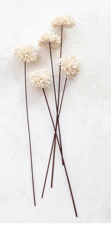 23-1/2&quot;H Dried Natural Sesame Bunch