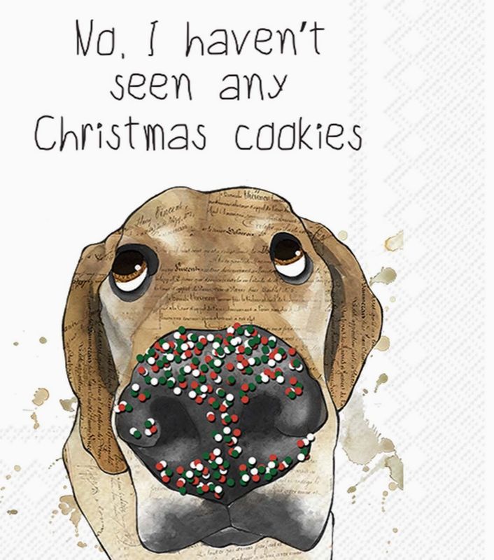 Paper Cocktail Napkins Pack of 20 Haven't Seen Any Christmas