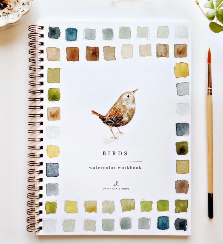 Birds Watercolor Workbook