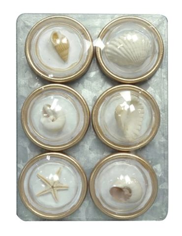 Resin Convex Magnets on Metal Card with Shells