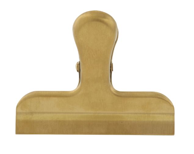 Stainless Steel Clip