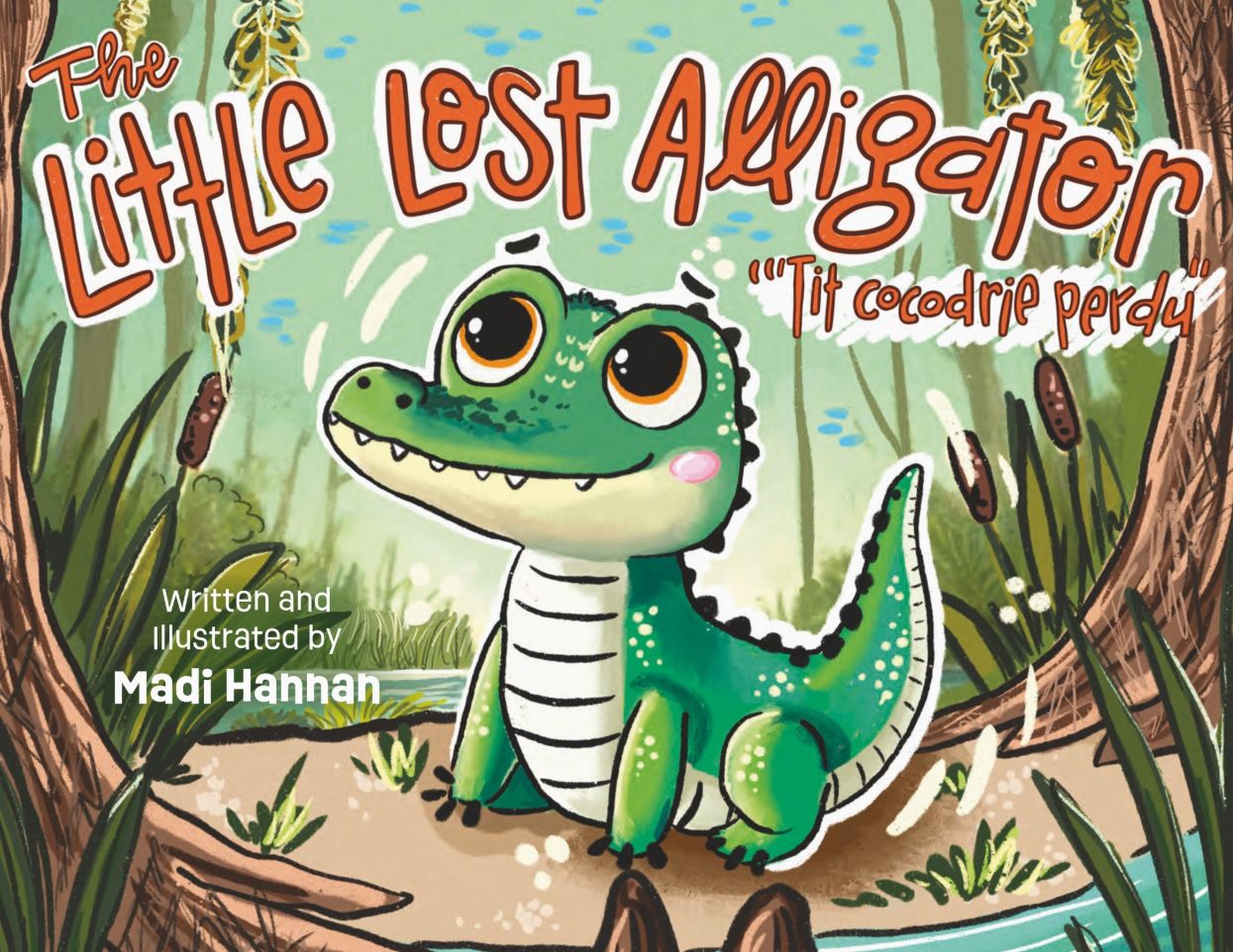 The Little Lost Alligator
