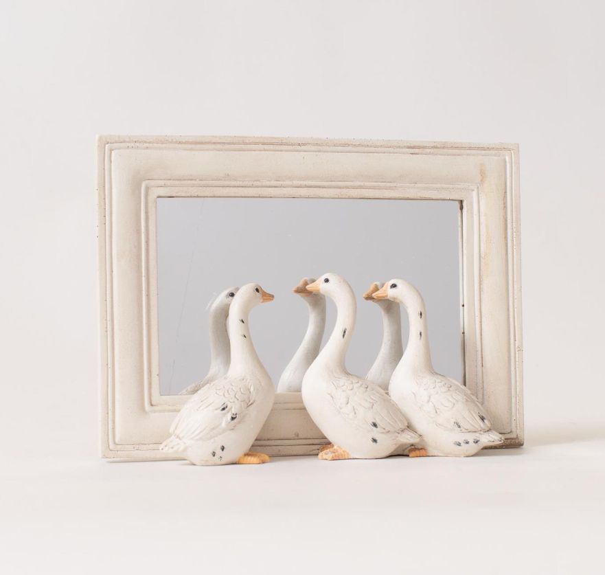 Geese Peeking Mirror