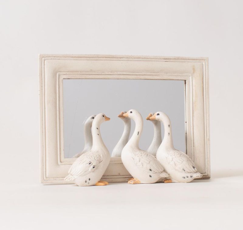 Geese Peeking Mirror