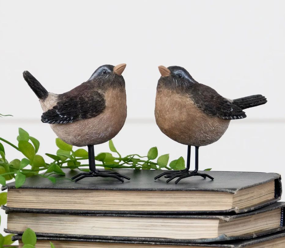 Birds with Metal Feet