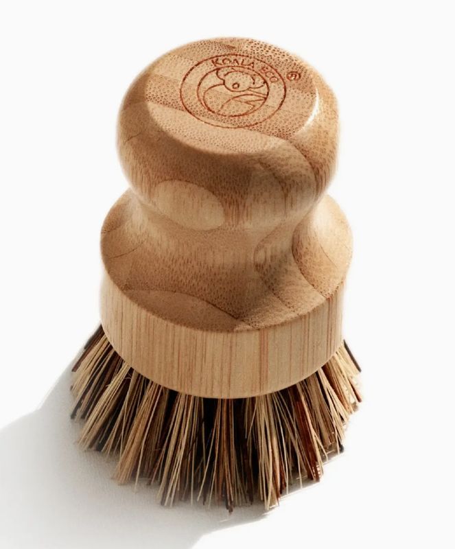 Scrubbing Brush