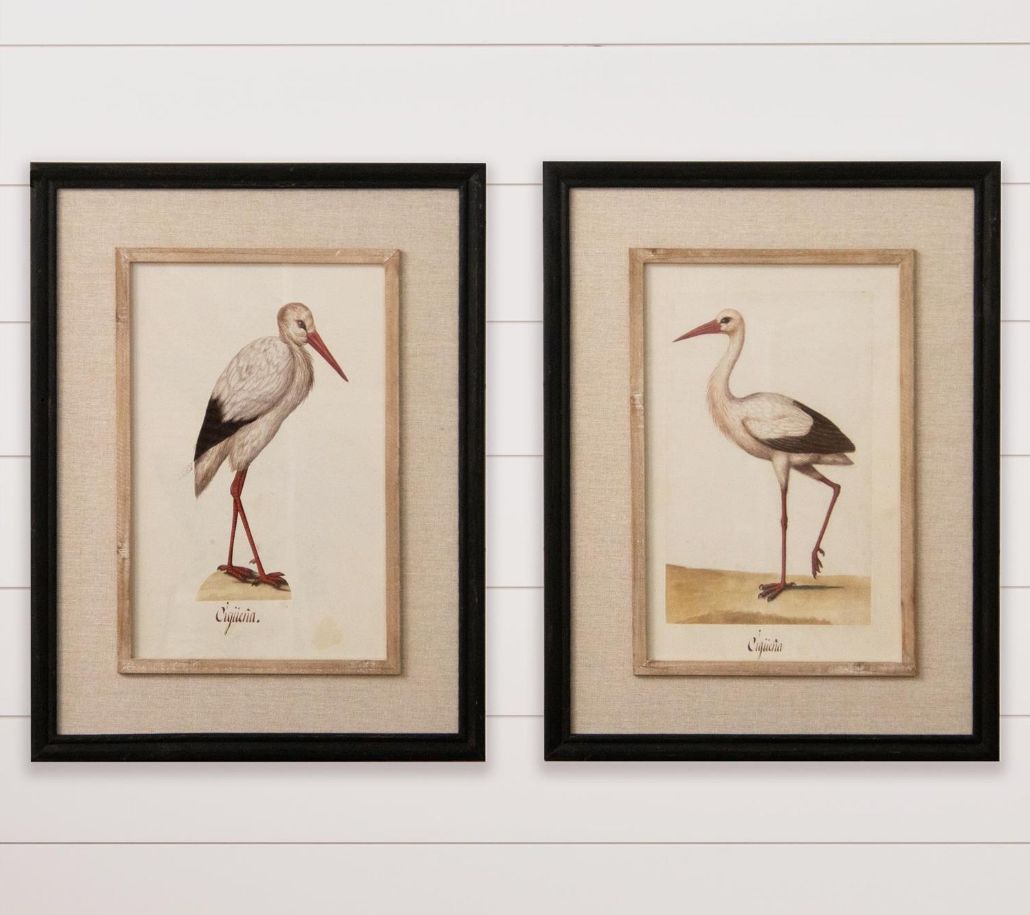 Framed Prints - Herons