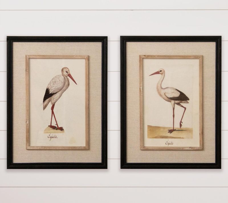Framed Prints - Herons