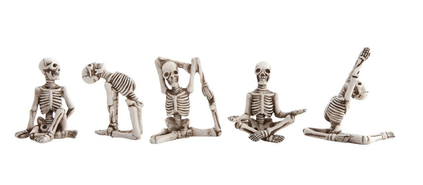 Skeleton in Yoga Pose