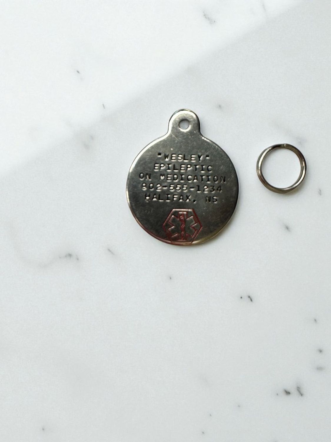 Pet Stainless Steel Round ID Tag with Emblem (Small)
