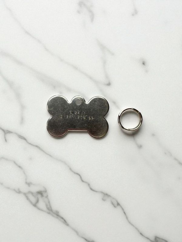 Pet Stainless Steel Dog Bone ID Tag (Large)