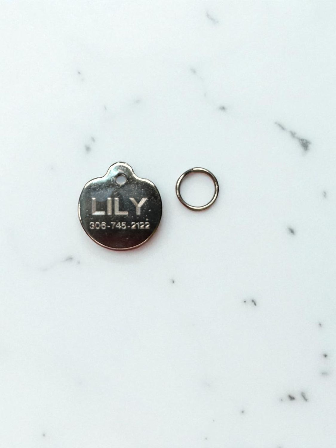 Pet Stainless Steel Round ID Tag (Small)