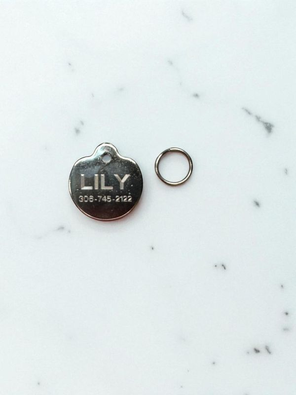 Pet Stainless Steel Round ID Tag (Small)