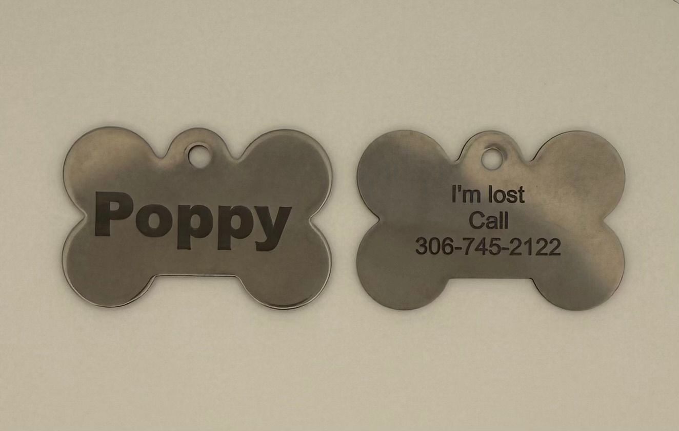 Pet Stainless Steel Dog Bone ID Tag (Large)