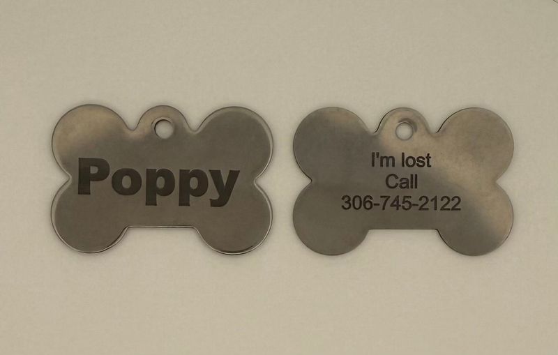 Pet Stainless Steel Dog Bone ID Tag (Large)