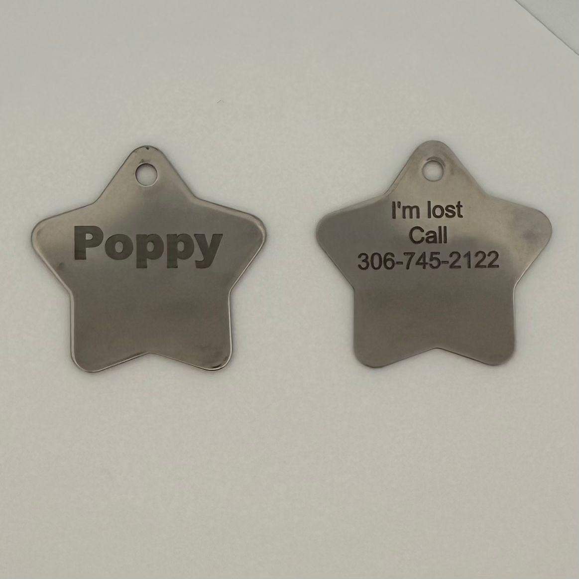 Pet Stainless Steel Star ID Tag (Large)