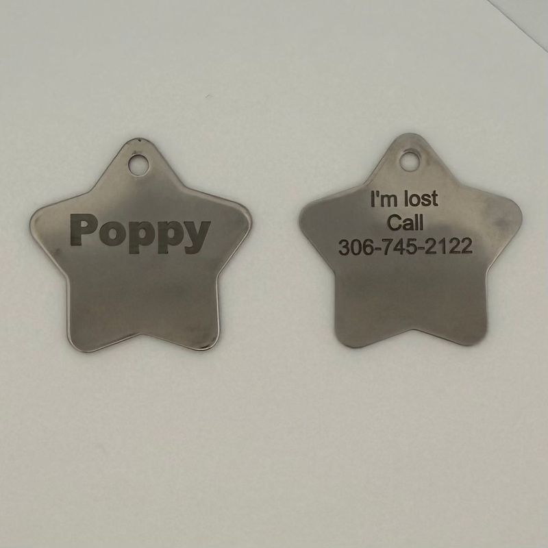 Pet Stainless Steel Star ID Tag (Large)