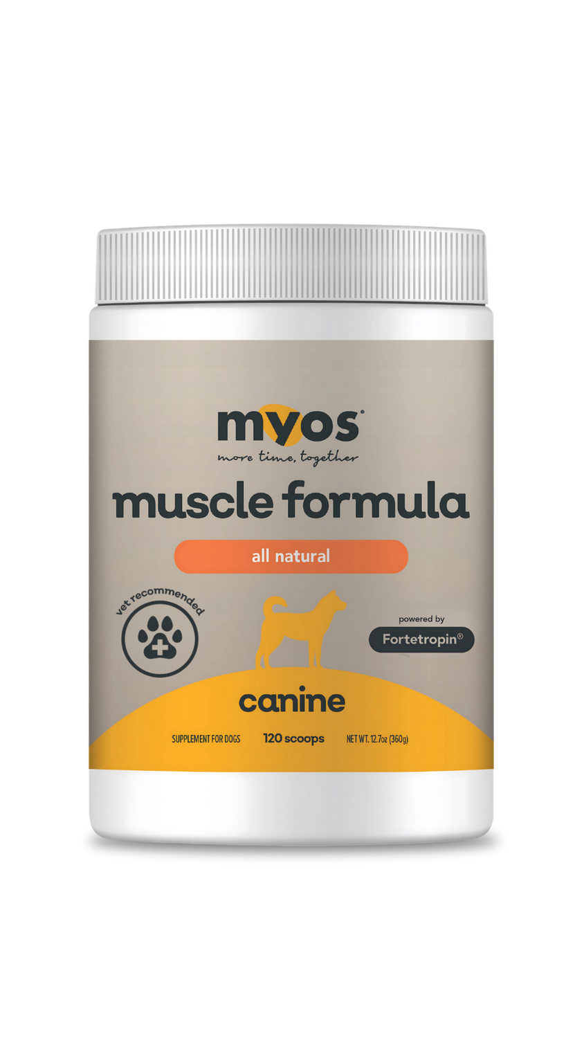 Original Canine Large (Canister)