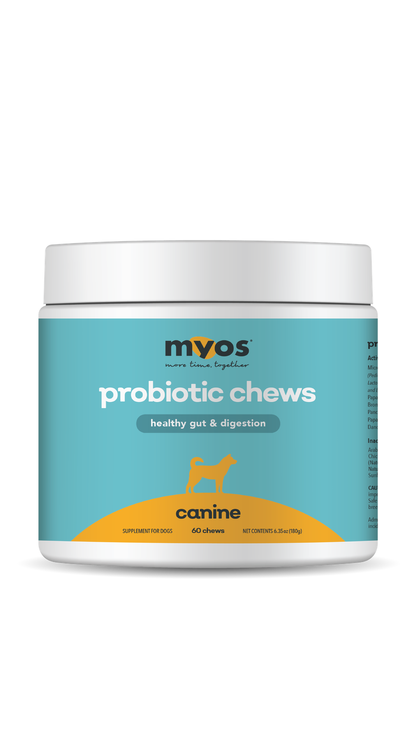 Probiotic Chew