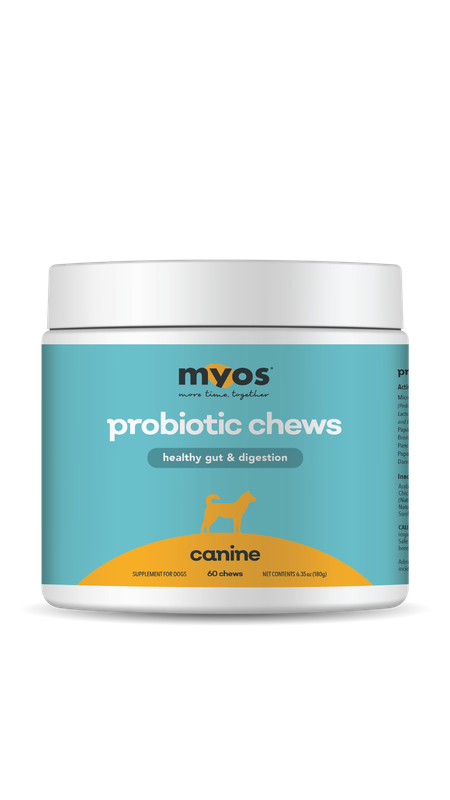 Probiotic Chew