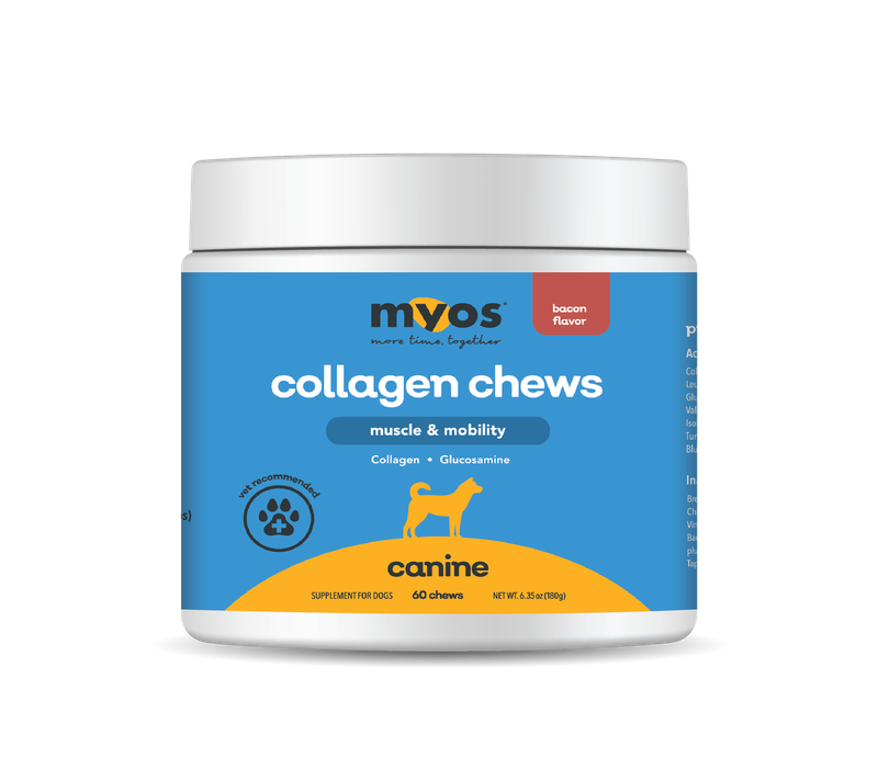 Muscle &amp; Mobility Collagen Chew