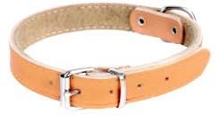 Classic European Leather Collar - Choose From Many Sizes and Colors
