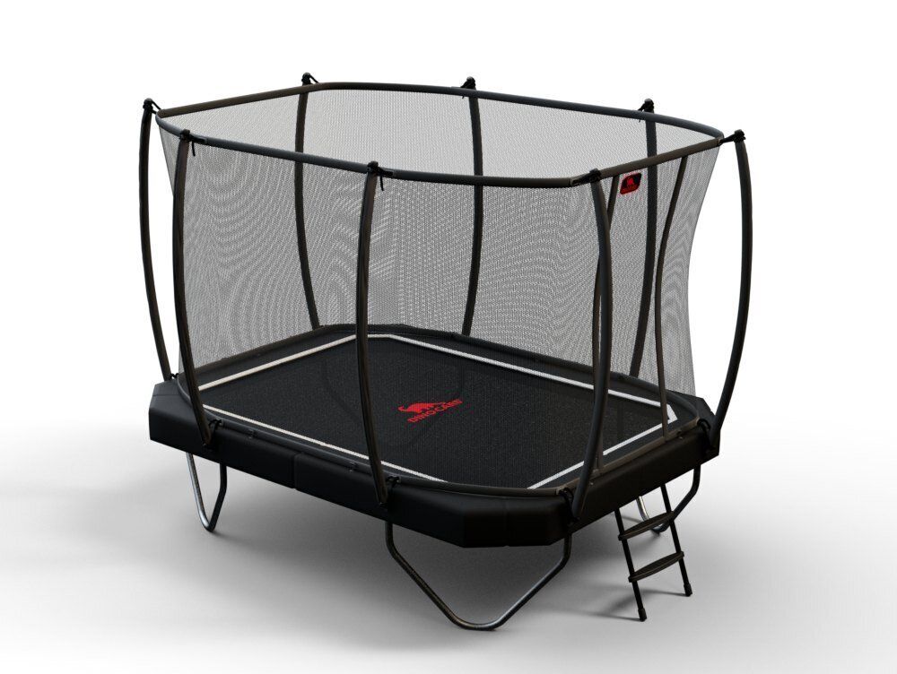 Dino-Cars trampoline incl. veiligheidsnet/ladder 340x240 Zwart