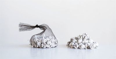 Dried Natural Schima Buds