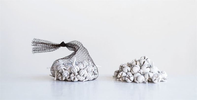 Dried Natural Schima Buds