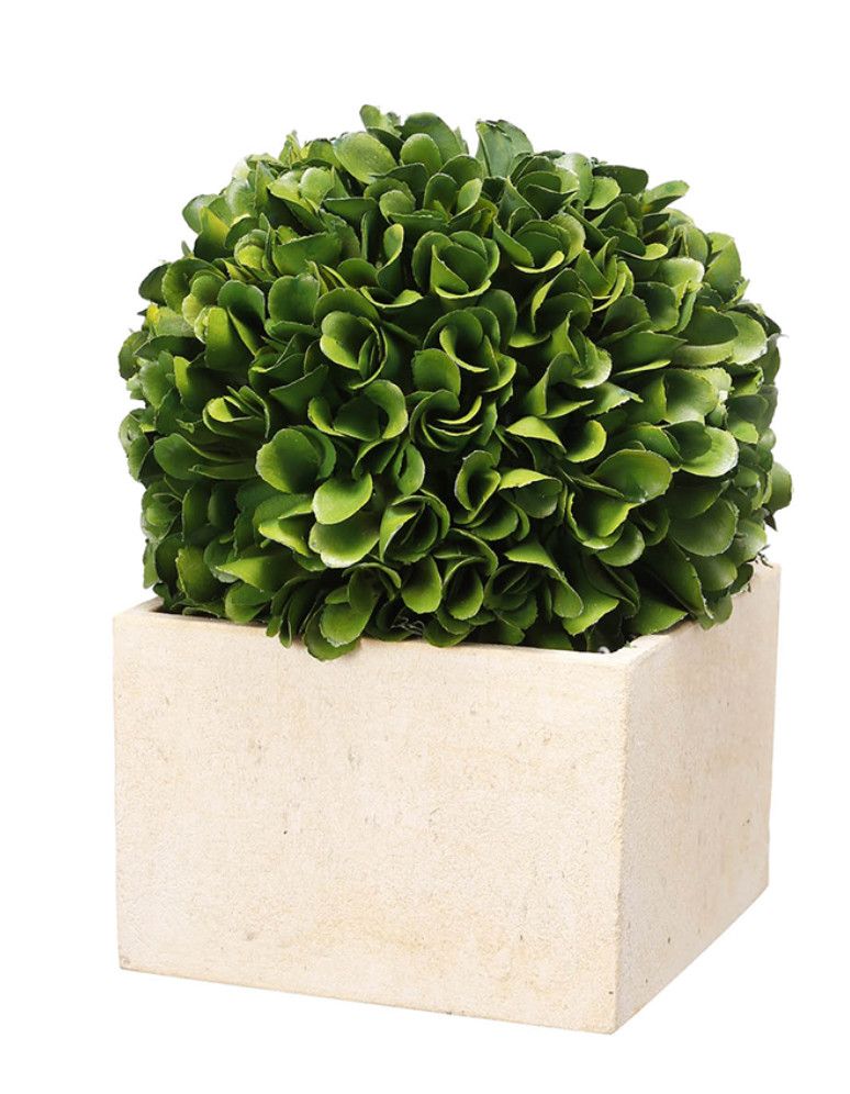 AB Faux Boxwood Boxed Topiary, Small