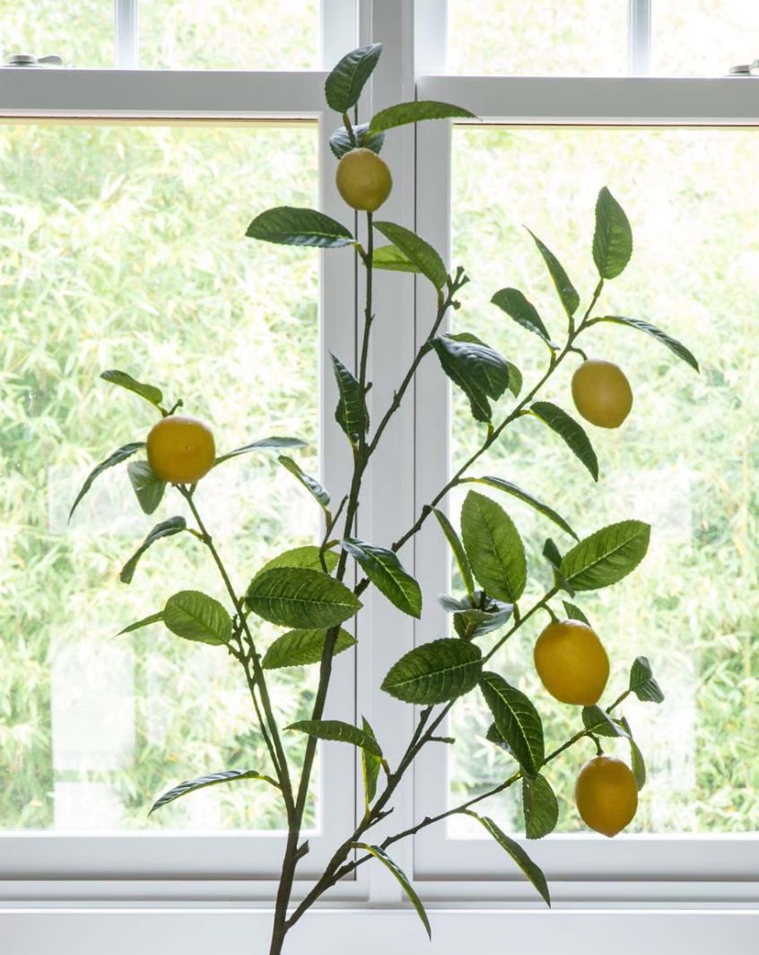 Lemon Branch