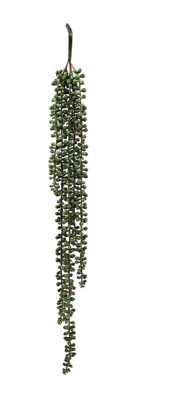 Lover's Tears Succulent (5x1.5x27.5")