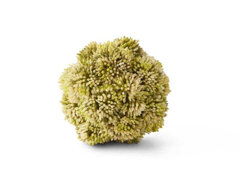 4" Light Green Sedum Ball