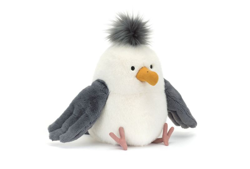 Chip Seagull