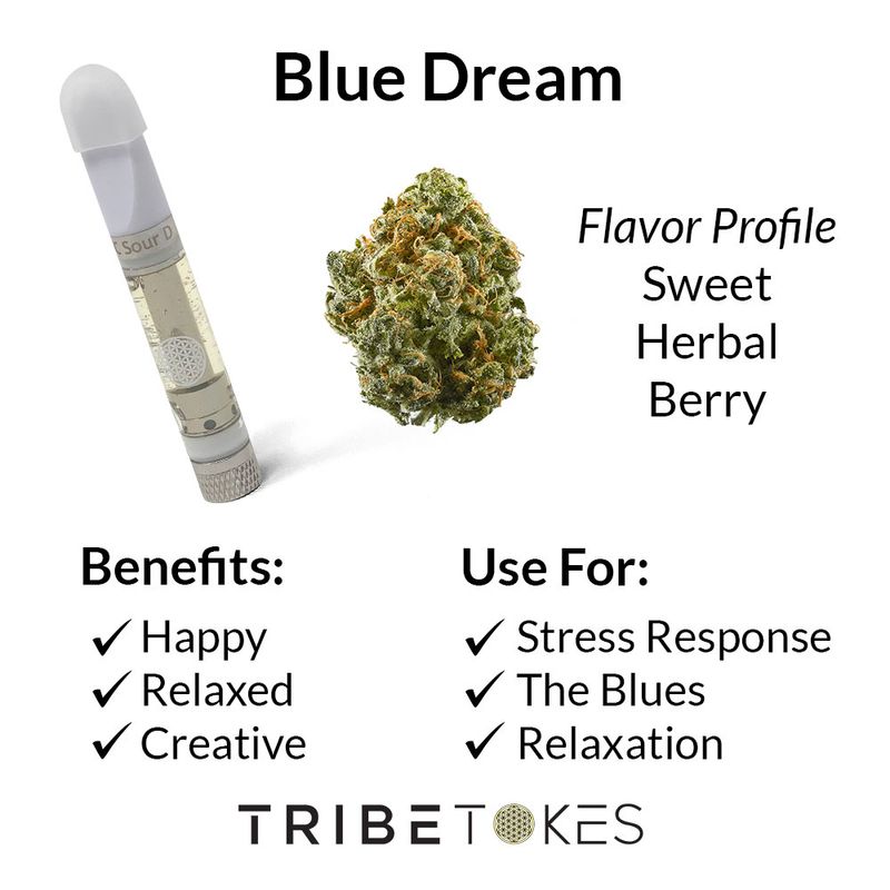 Tribe Tokes - Blue Dream - 1:1 Ratio All-In-One