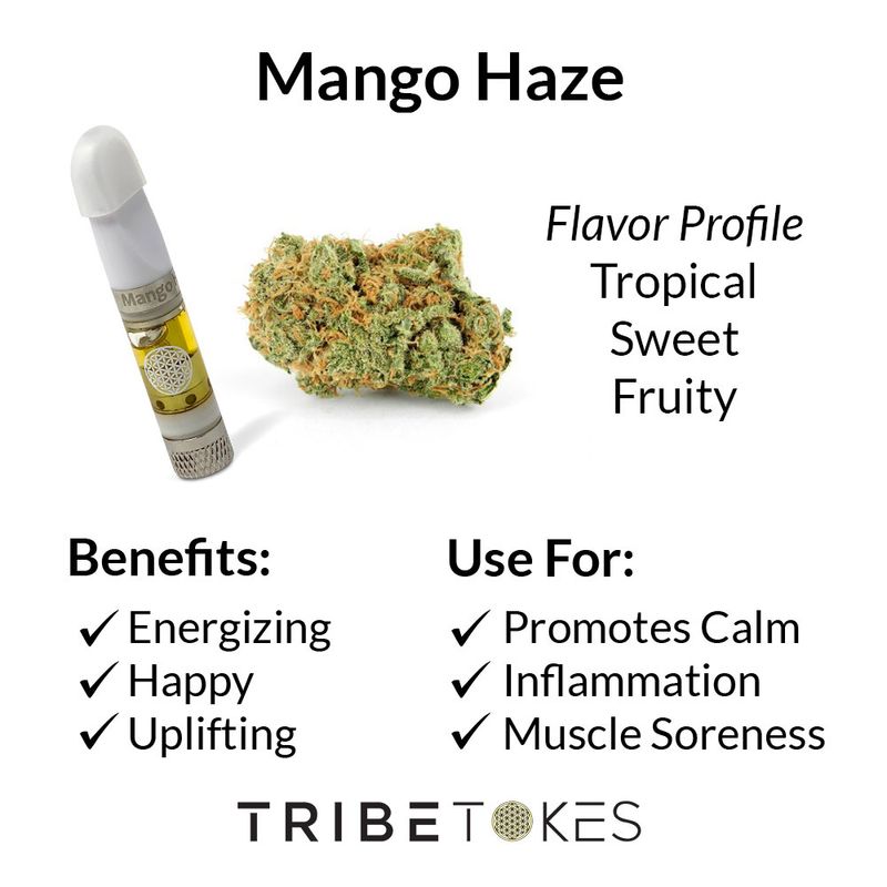 Tribe Tokes - Mango Haze - CBD Vape Cartridge