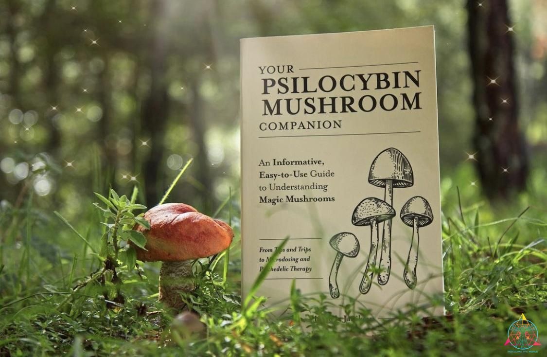 Your Mushroom Companion