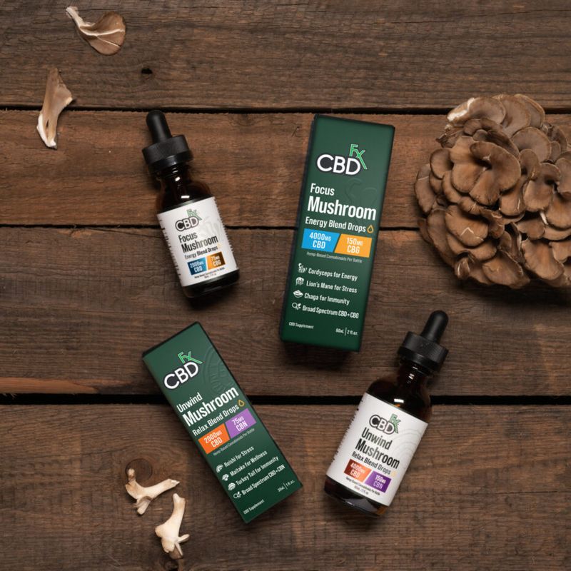 CBD fx Focus Mushroom + CBD Drops – CBG Energy Blend