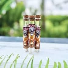 Celestial Sacraments Jaguar CBD Prerolls 2-Pack