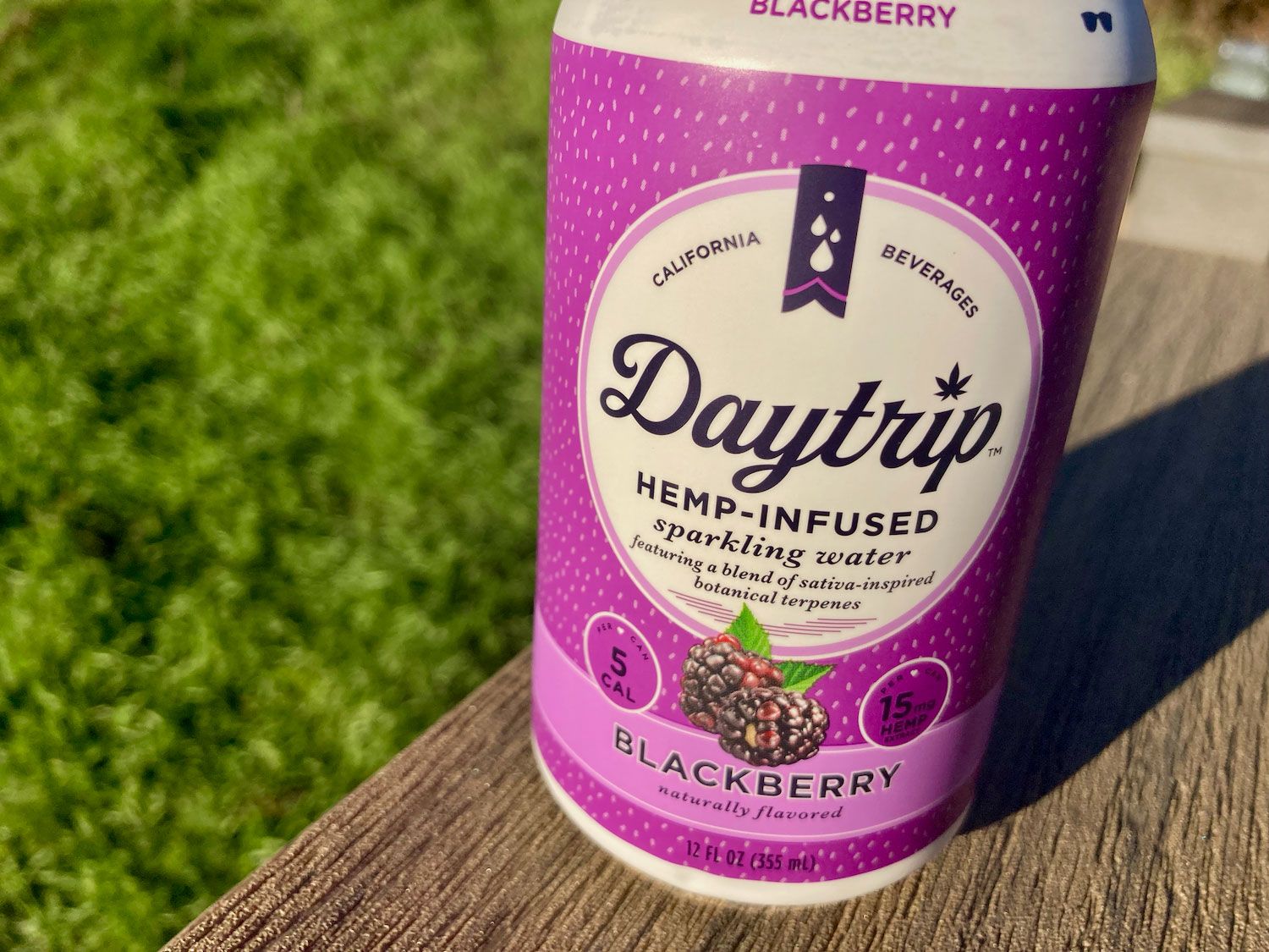 Daytrip CBD Sparkling Water, Attribute: Blackberry
