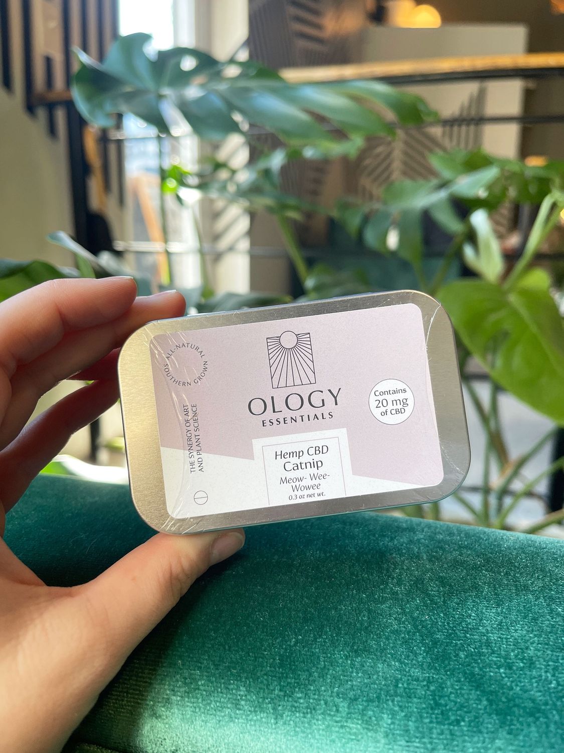 Ology CBD Catnip