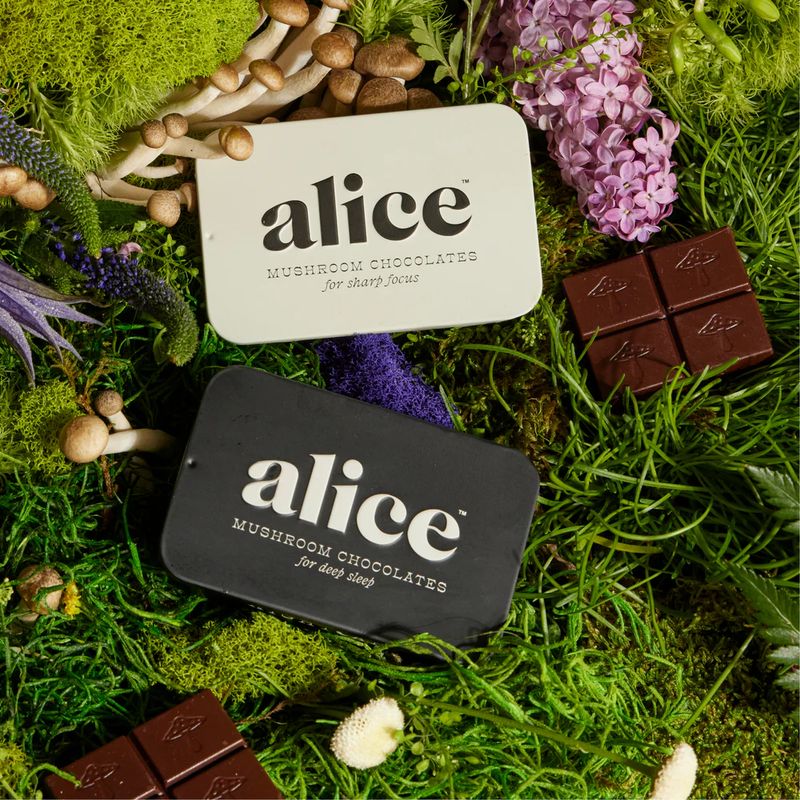 Alice Mushroom Chocolates
